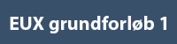 EUX grundforløb 1