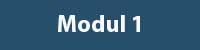 Modul 1