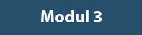 Modul 3